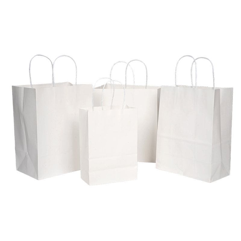 Twisted-Handle White Kraft Paper Shopping Bag