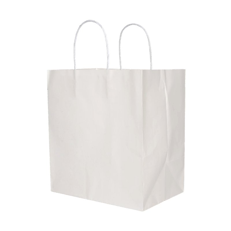 Twisted-Handle White Kraft Paper Shopping Bag